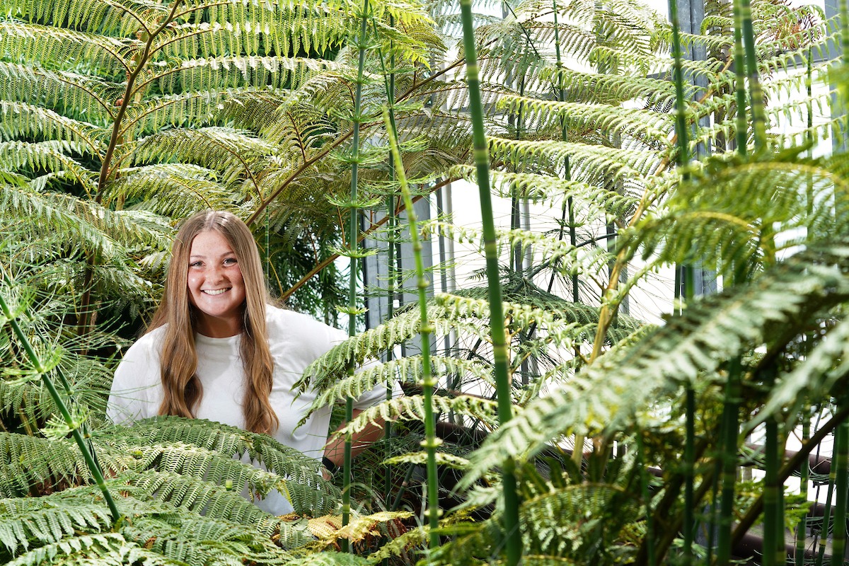 Student Baylee Riester amongst the ferns and horsetails of the Botany Lily Greenhouses