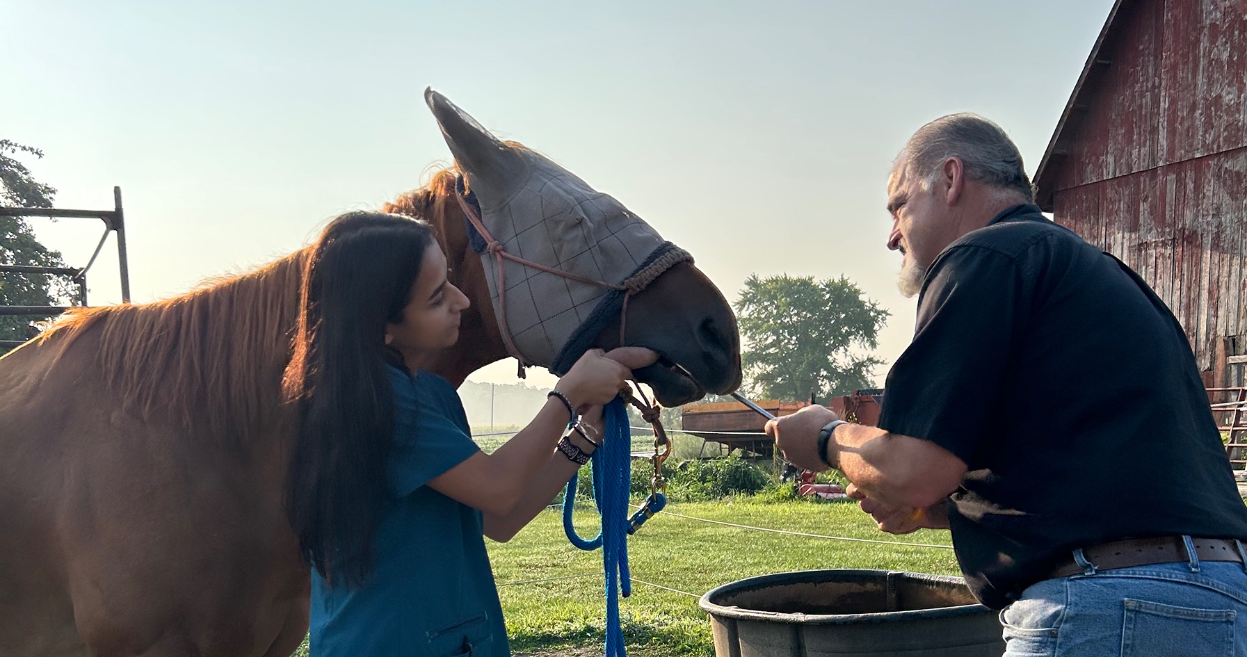 Sidney Panaretos works with horse in summer internship. 