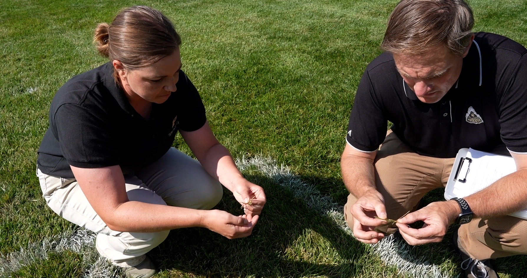 Turf scientist examine grass on a field.
