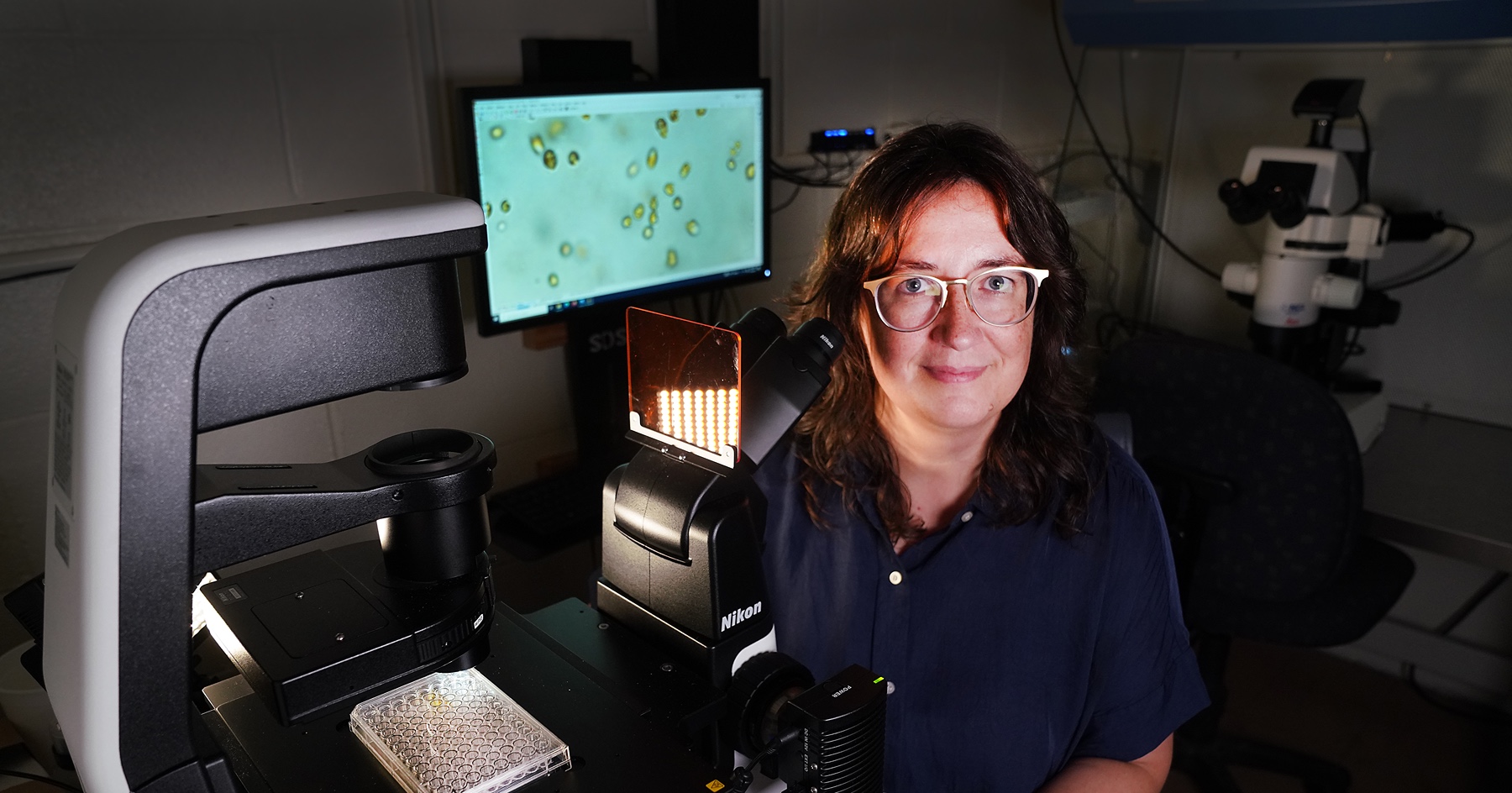 Wisecaver sits at microscope investigating alga blooms