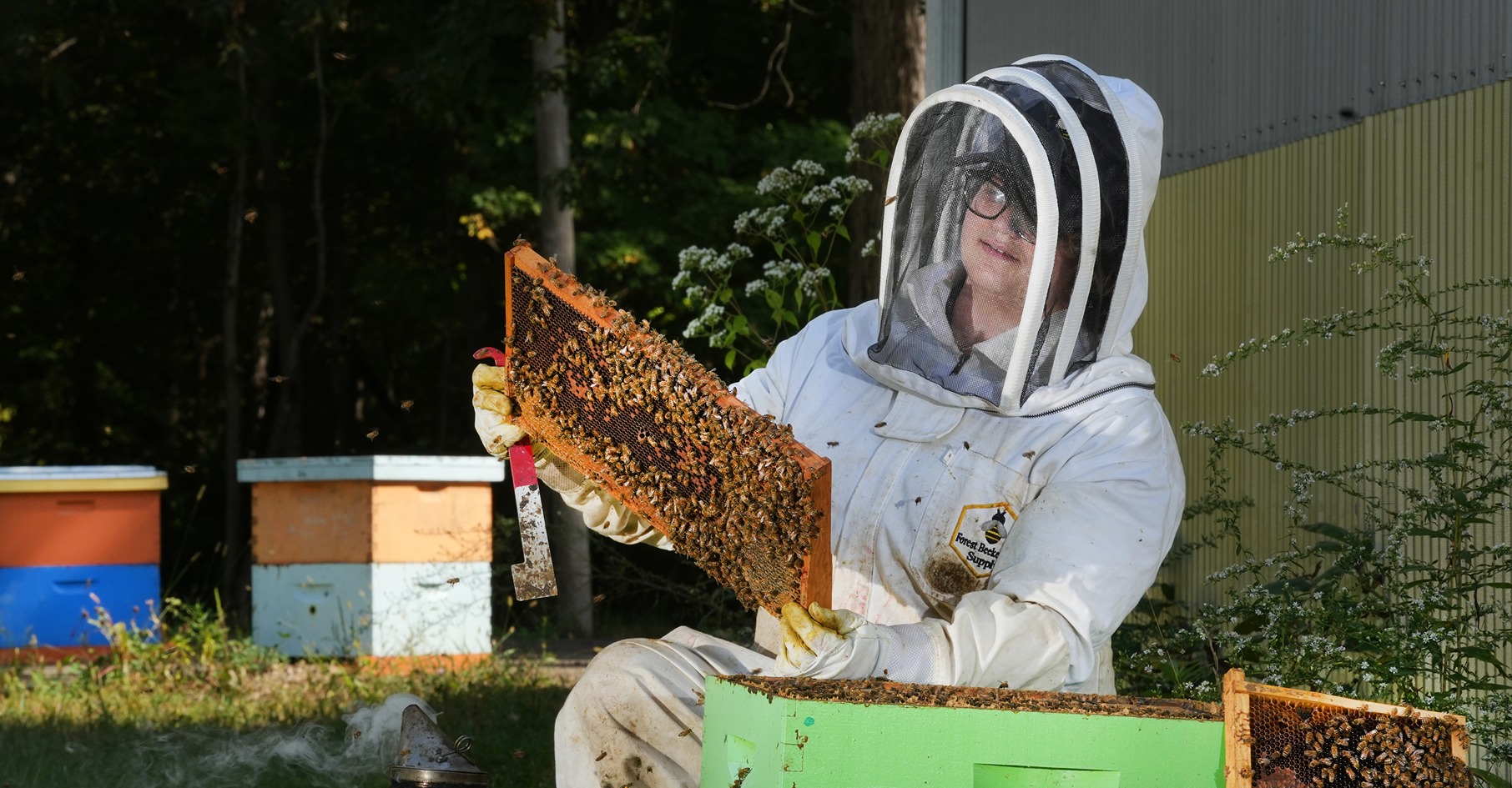 Izaak working with bee hives