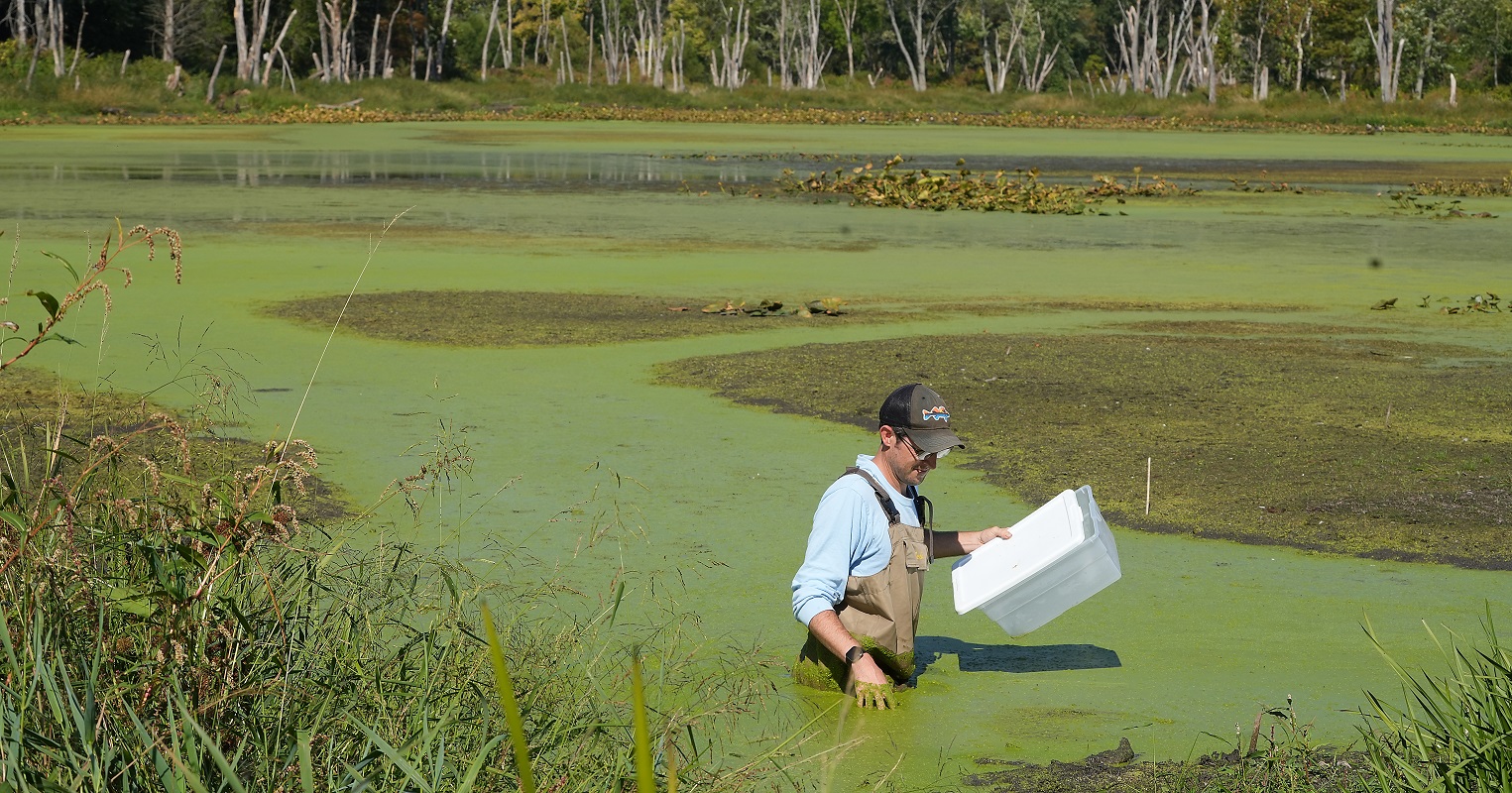 Tyler Hoskins in the field at the Purdue Wildlife Area.