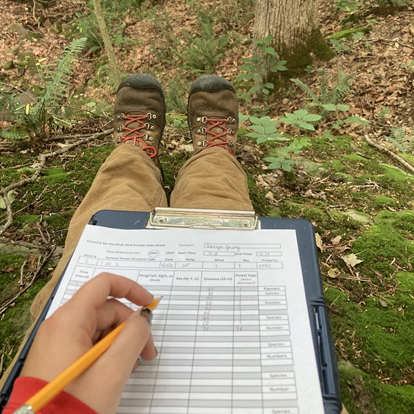 Young with a data sheet in the forest