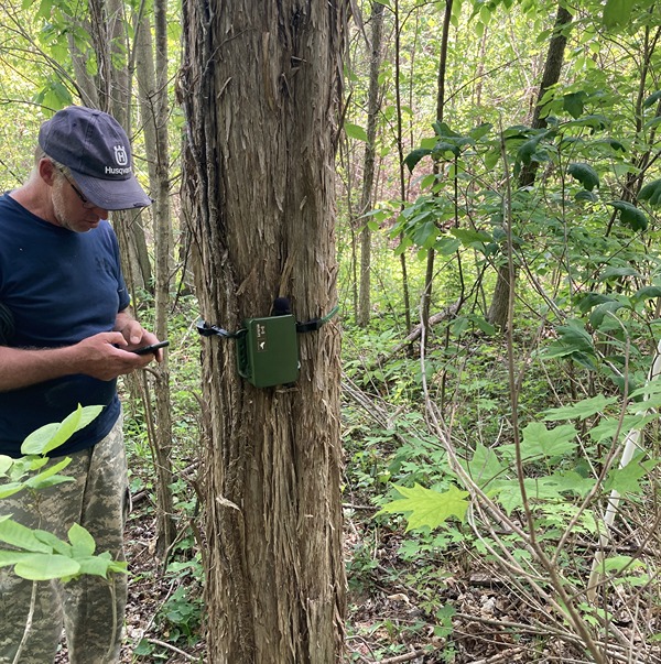 Don Carlson and Young attached a Song Meter Mini Acoustic Recorder to a tree to pick up the songs and calls of several birds species, including Blue-winged Warblers and Yellow-billed Cuckoos. 