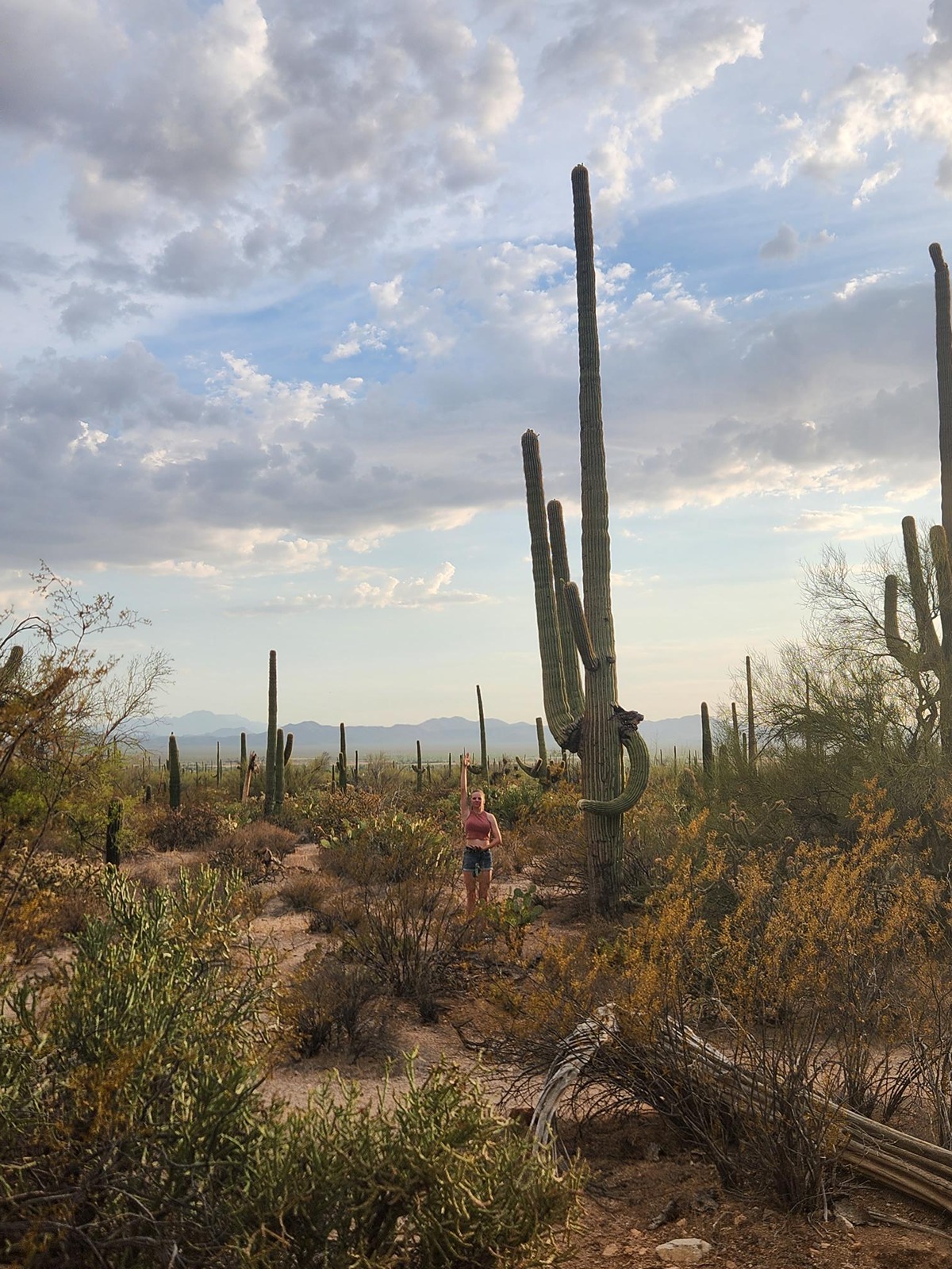 Julia Raising her hands up to mimic a saguaro cactus