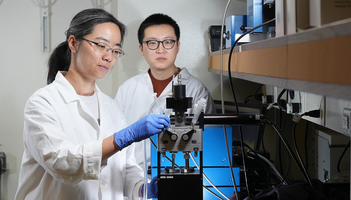 Xing Liu and Kankan use a stopped-flow instrument to measure the proteins in rapid chemical reactions.