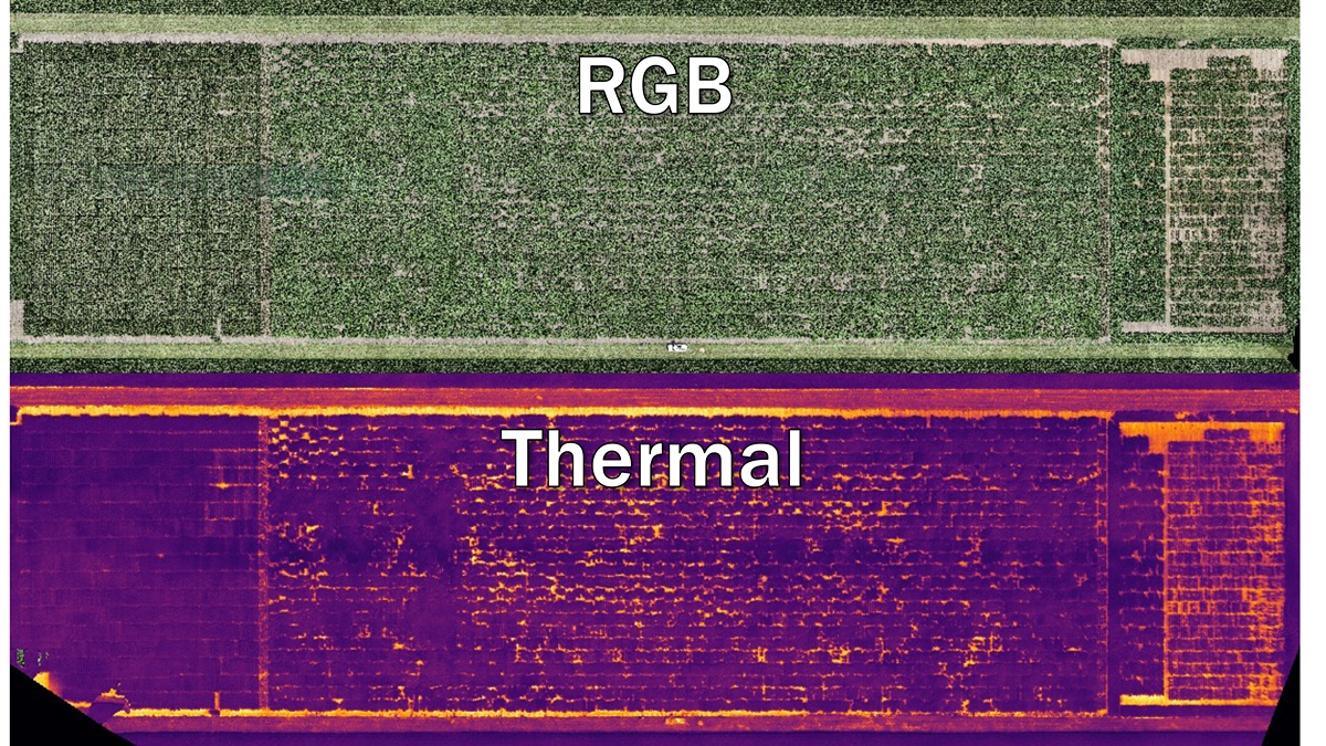Thermal imaging 
