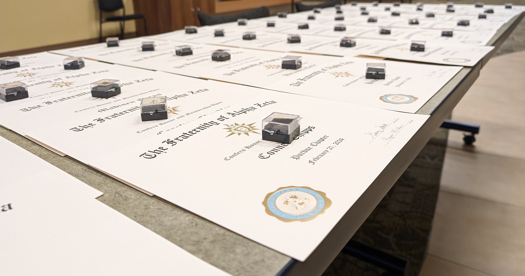 Alpha Zeta certificates and pins on a table