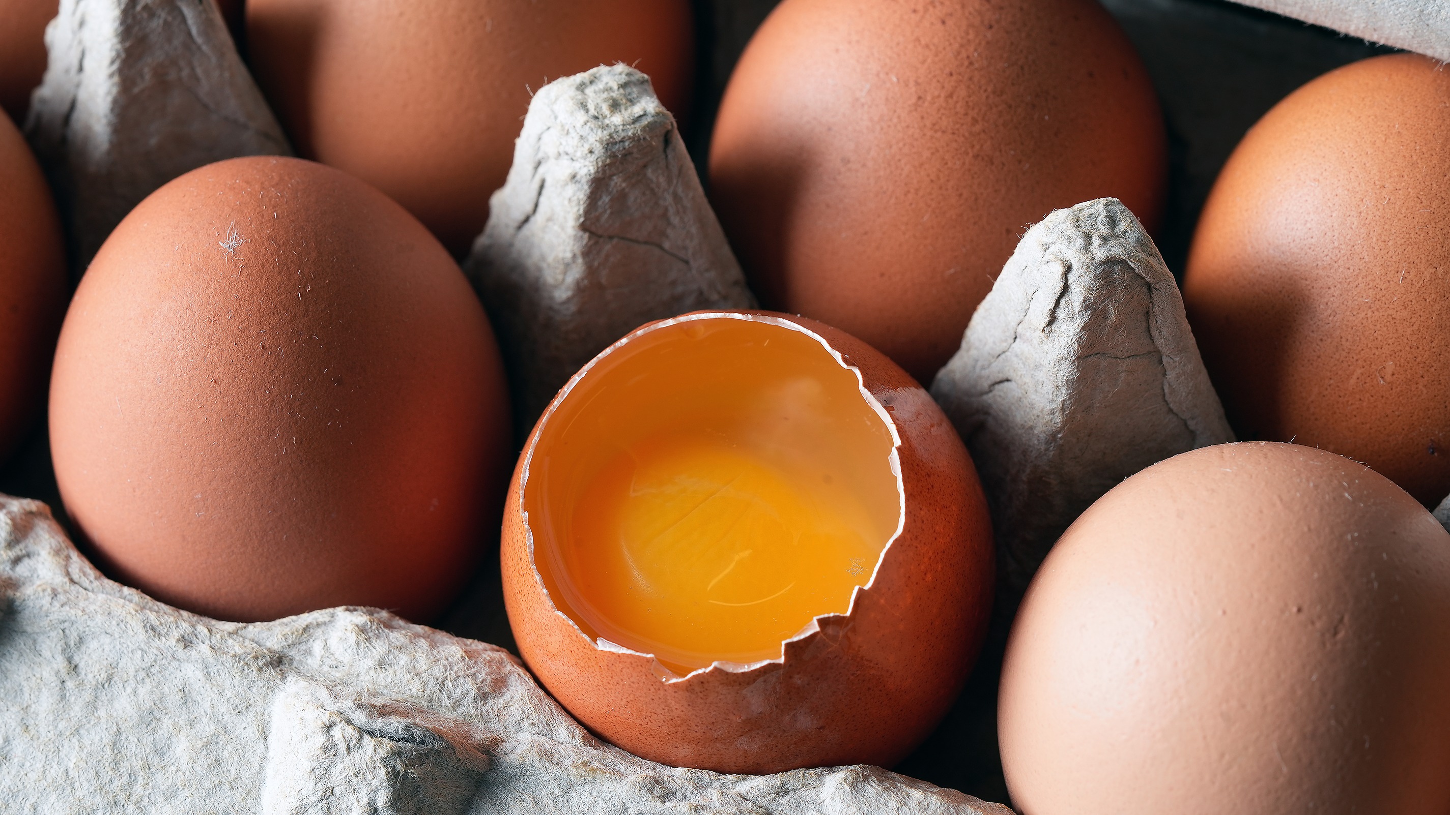 Cracked open brown egg reveals dark orange yolk