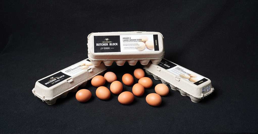 Against a black backdrop, three dozen egg carton are neatly arranged to surround many loose brown eggs
