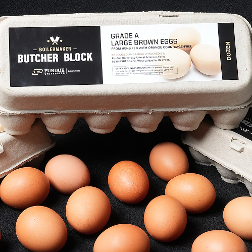 Against a black backdrop, three dozen egg carton are neatly arranged to surround many loose brown eggs