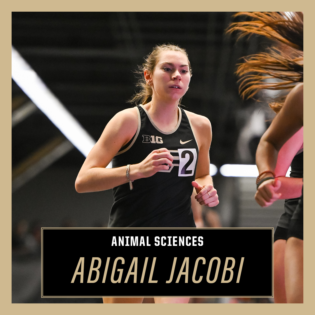 Abigail Jacobi