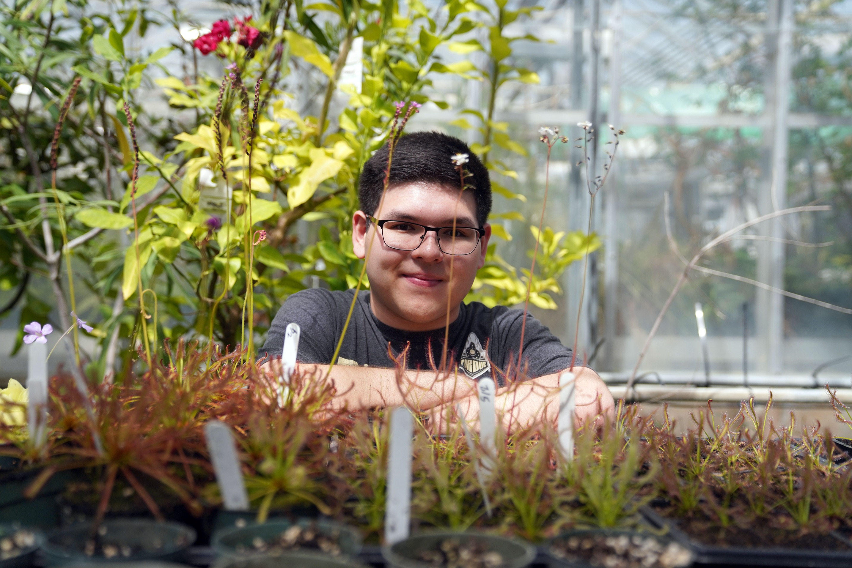 Jonathan Lu sits among the plants he is researching this summer.