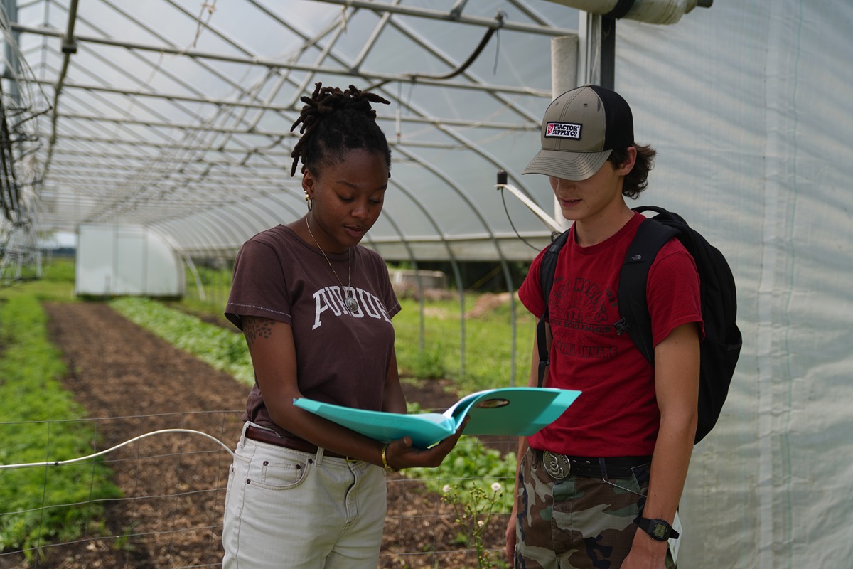 Two students standing in a high tunnel looking down at a folder