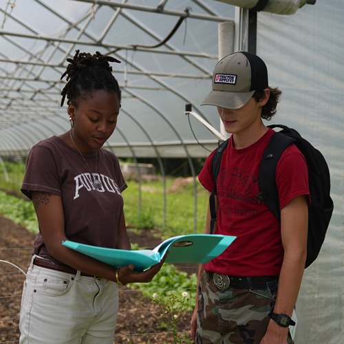 Two students standing in a high tunnel looking down at a folder