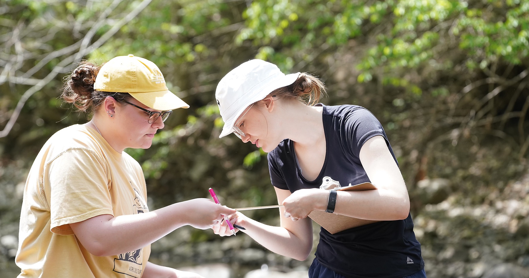 Students work in creek on water testing