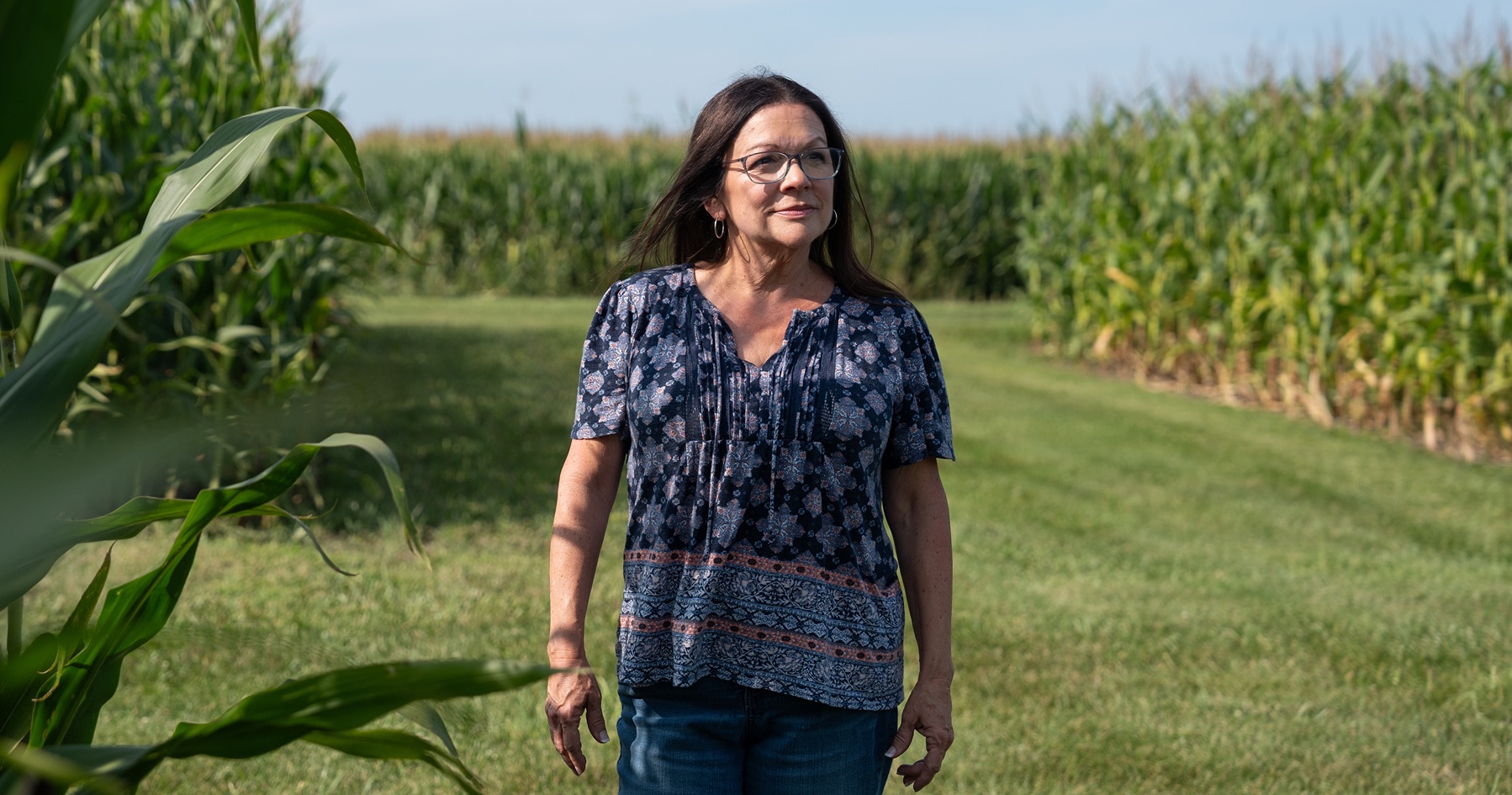 Kimber in a corn field