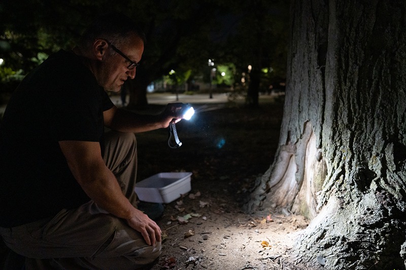 Buczkowski looks for ants in the nighttime