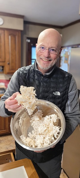 mushrooms marshall porterfield with bowl of oyster mushrooms in a kitchen