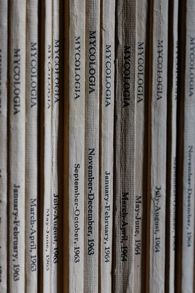 spines of Mycologia books at the Herbaria library