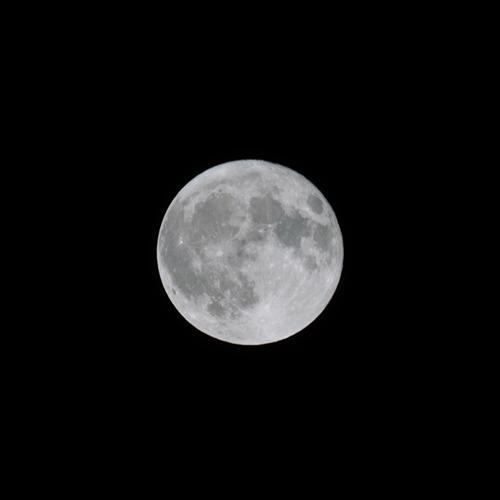 the moon rises over a greenhouse at the Horticulture Building