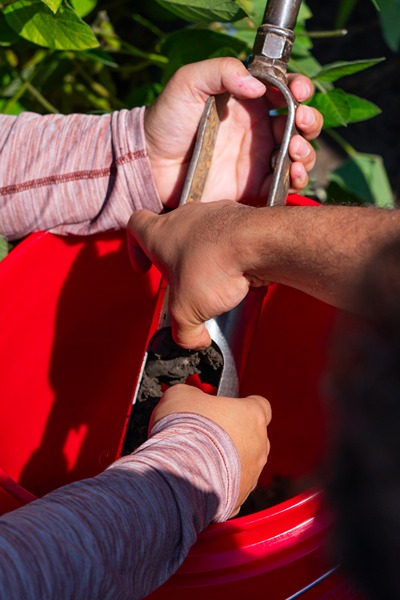 Paul and students removing soil from chamber of soil probe into a red bucket