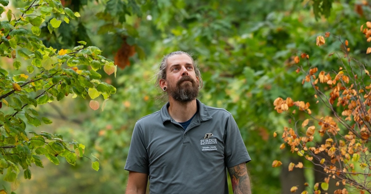 Ben McCallister, urban forestry specialist in Purdue University’s Department of Forestry and Natural Resources, looking at green leaves turning orange in light of the fall season.