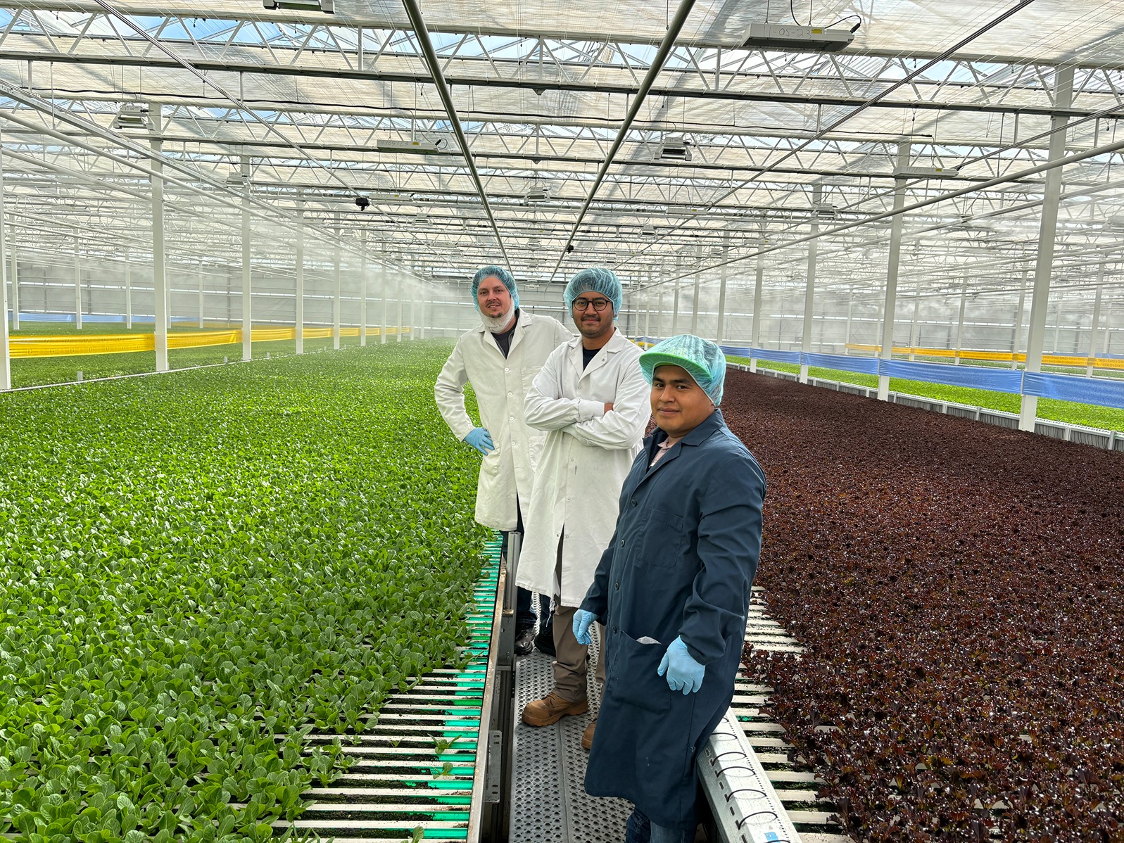 Hari Thirumalai poses with coworkers in the greenhouse