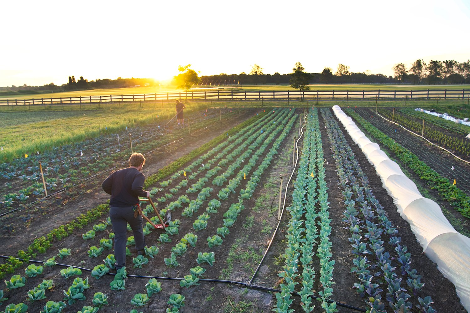 Students who farm