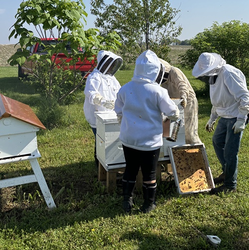 Veterans learning how to care for bee hives. 