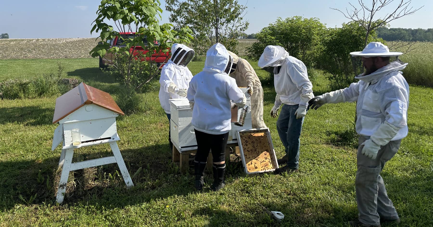 Veterans learning how to care for bee hives. 