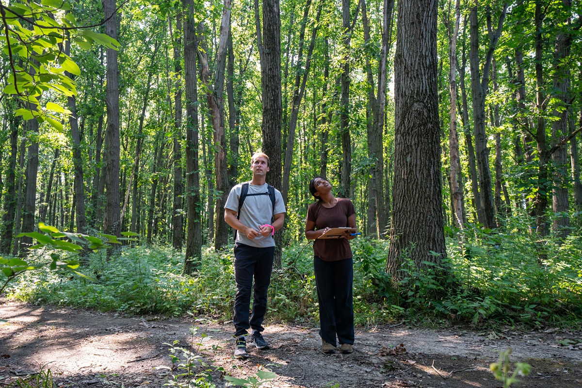 asa and shreya look around in martell forest with lots of trees and understory green plants around