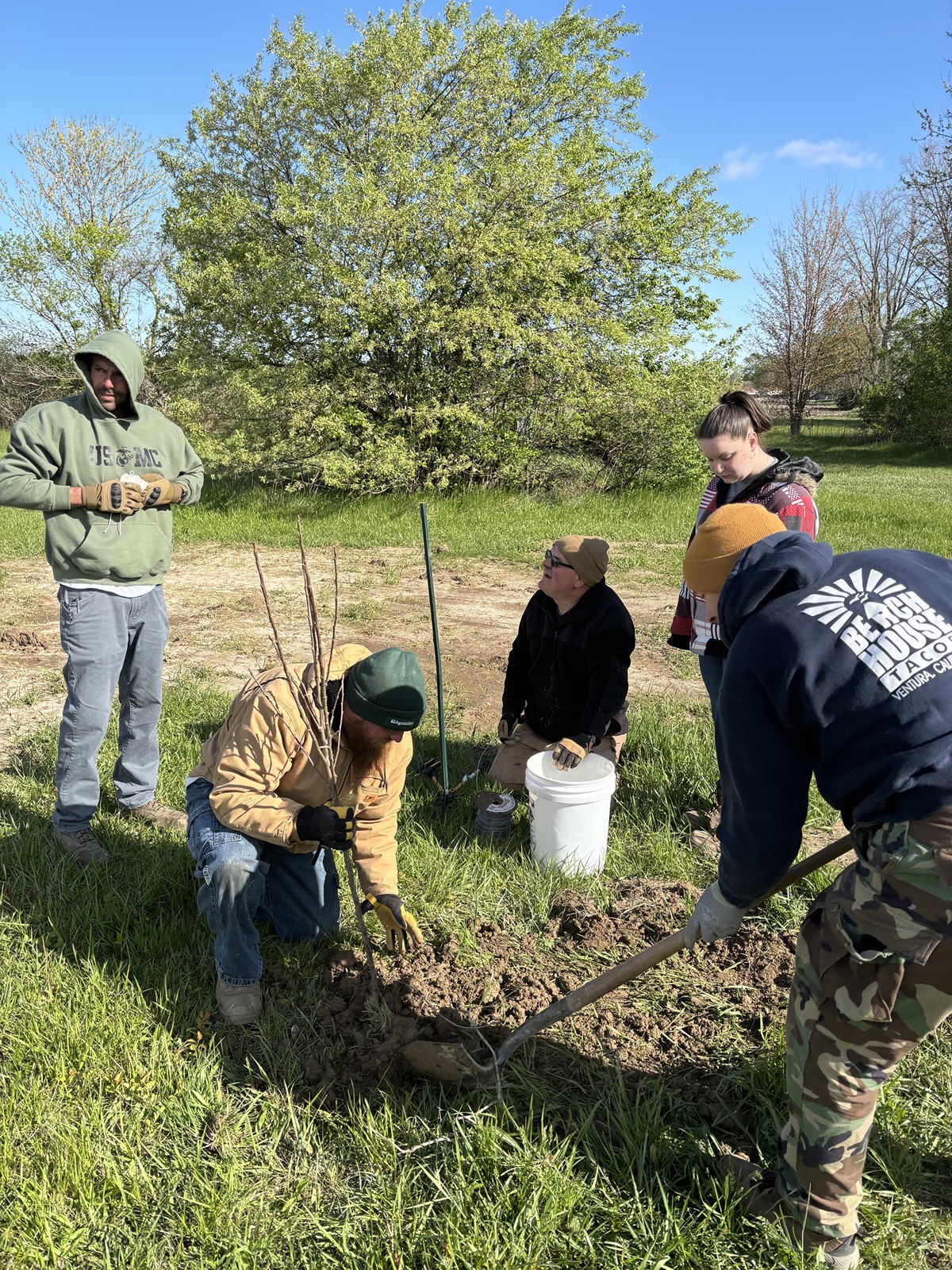 Veterans planting trees