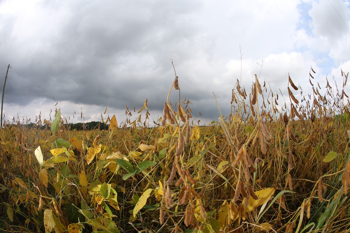 a farm during a storm