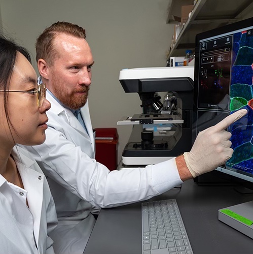 Purdue University’s James Markworth, assistant professor of animal sciences, and PhD student Xinyue Lu observe results of immunofluorescent staining of a cross-sectional sample of skeletal muscle tissue stained with a cocktail of primary antibodies for muscle fiber type analysis. Muscle cells (myofibers) of differing contractile type, such as fast vs. slow twitch fibers, are distinguished via their resulting staining color.