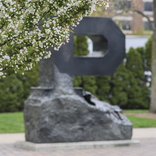 White flowers in front of Purdue University's unfinished P at the West Lafayette campus.