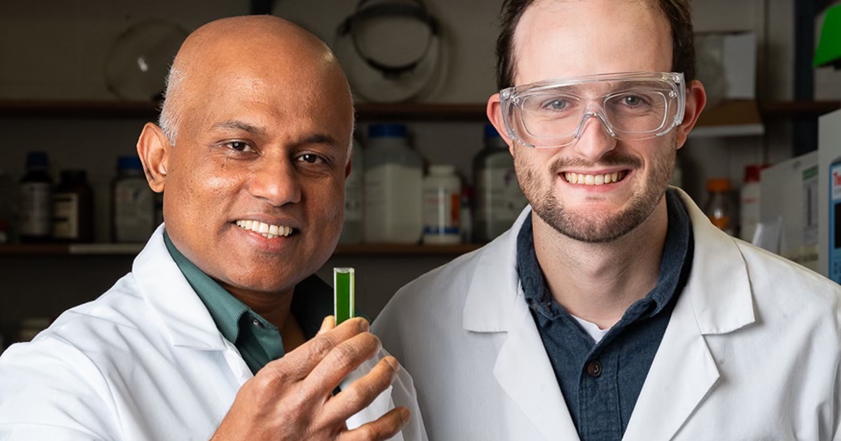 Sujith Puthiyaveetil and Steve McKenzie look at a plant thylakoid in a lab at the biochemistry building at Purdue University. (Purdue Agricultural Communications/Joshua Clark)