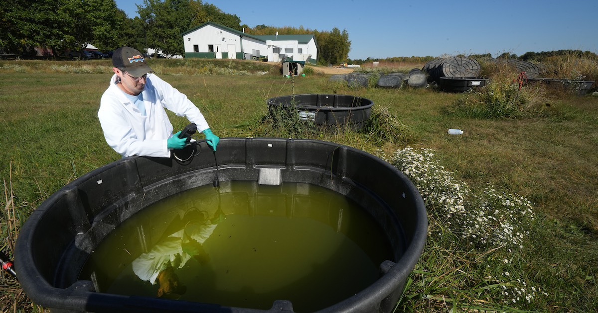 Male researcher water collecting data from water tank