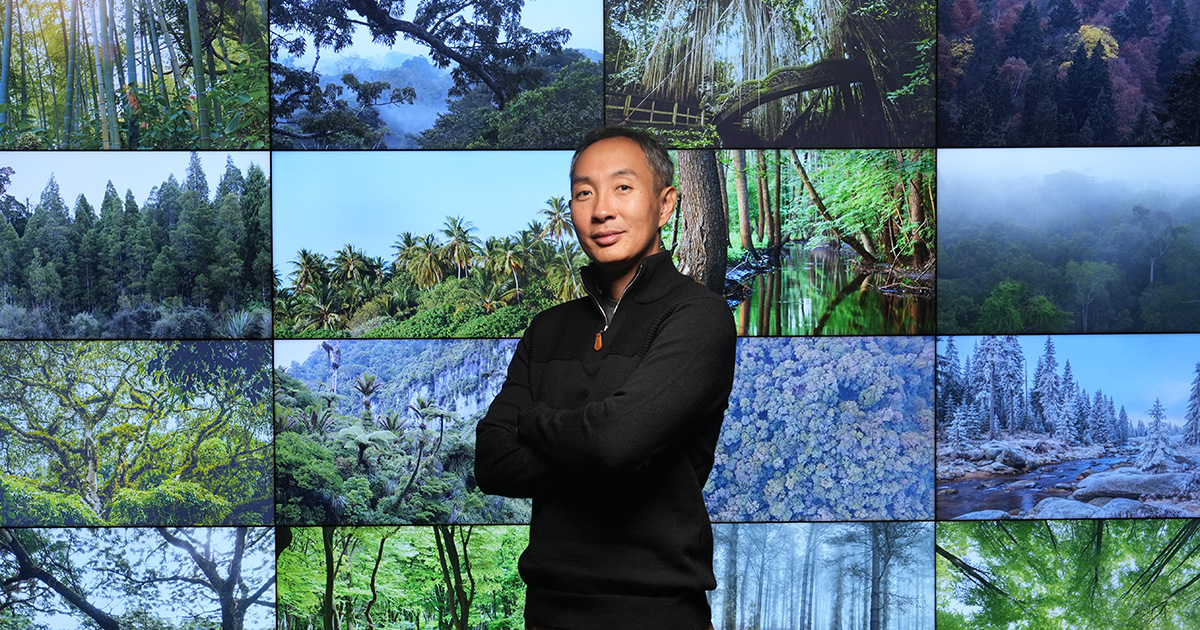 Portrait of Jingjing Liang, forestry and natural resources professor, taken in the Envision Center with tree collage background.