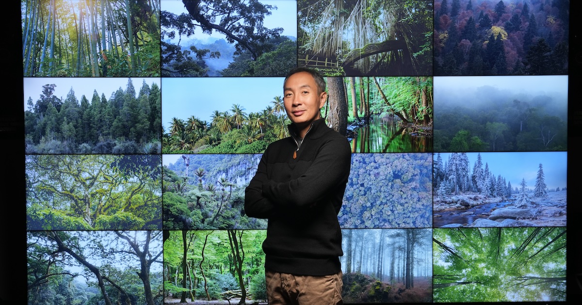 Portrait of Jingjing Liang, forestry and natural resources professor, taken in the Envision Center with tree collage background.
