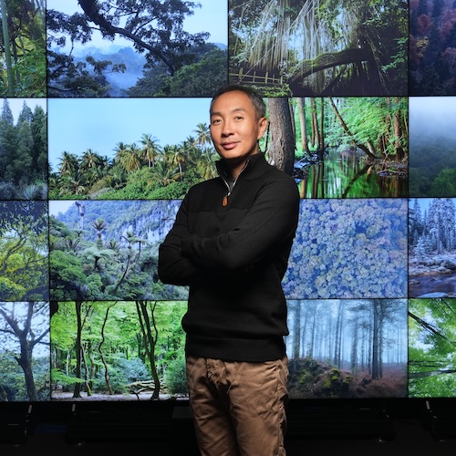 Portrait of Jingjing Liang, forestry and natural resources professor, taken in the Envision Center with tree collage background.