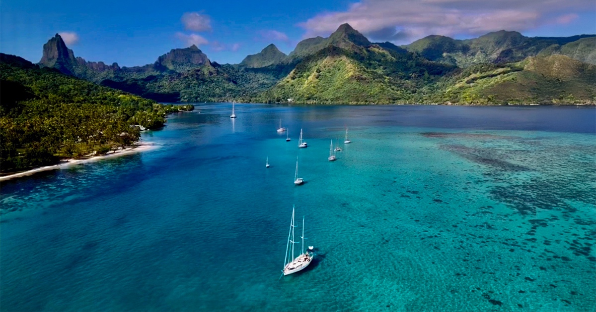 Boats sailing near shore, picture from a above