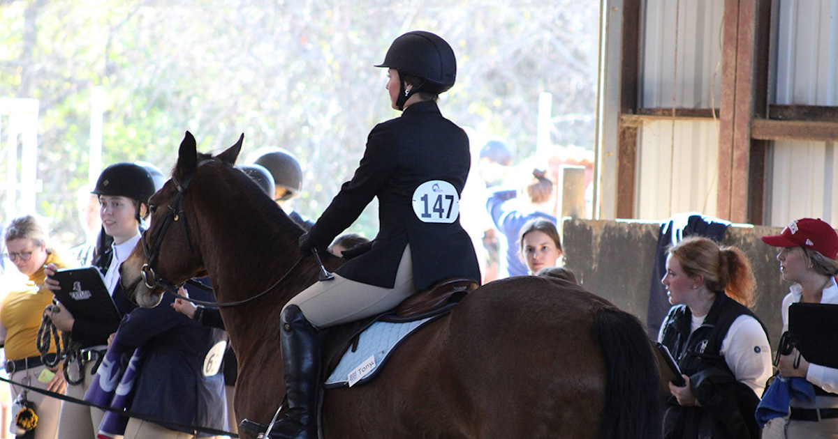 Girl riding a horse 