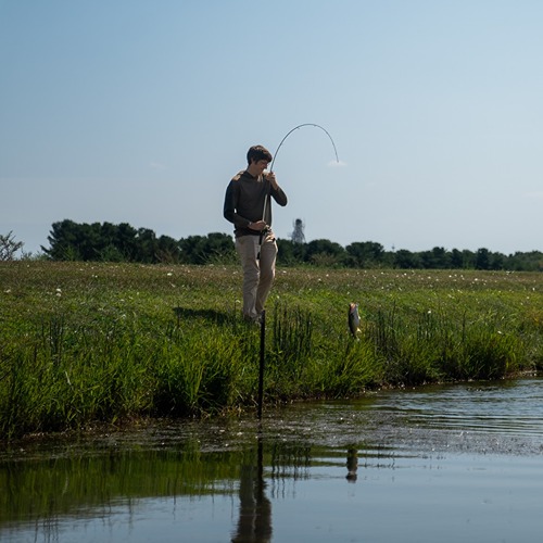 Tyler Hoskins collects zebrafish from wetlands near Purdue.