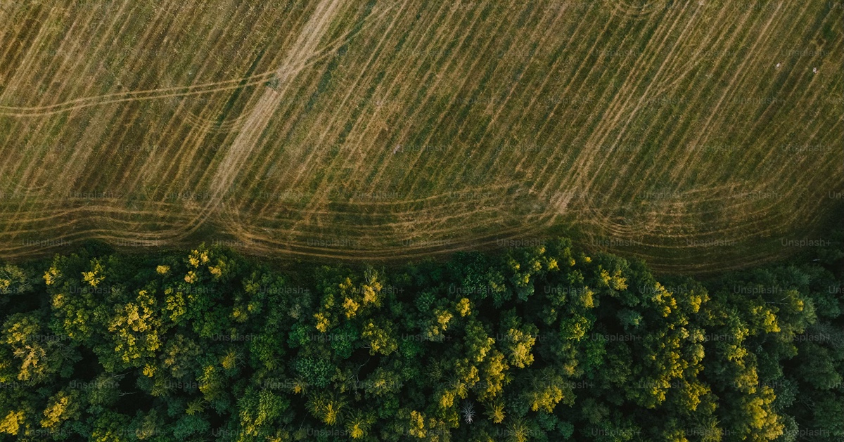 Indiana Farmland 