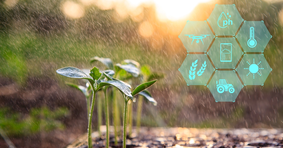 Plants growing with graphic overlay explaining the science 