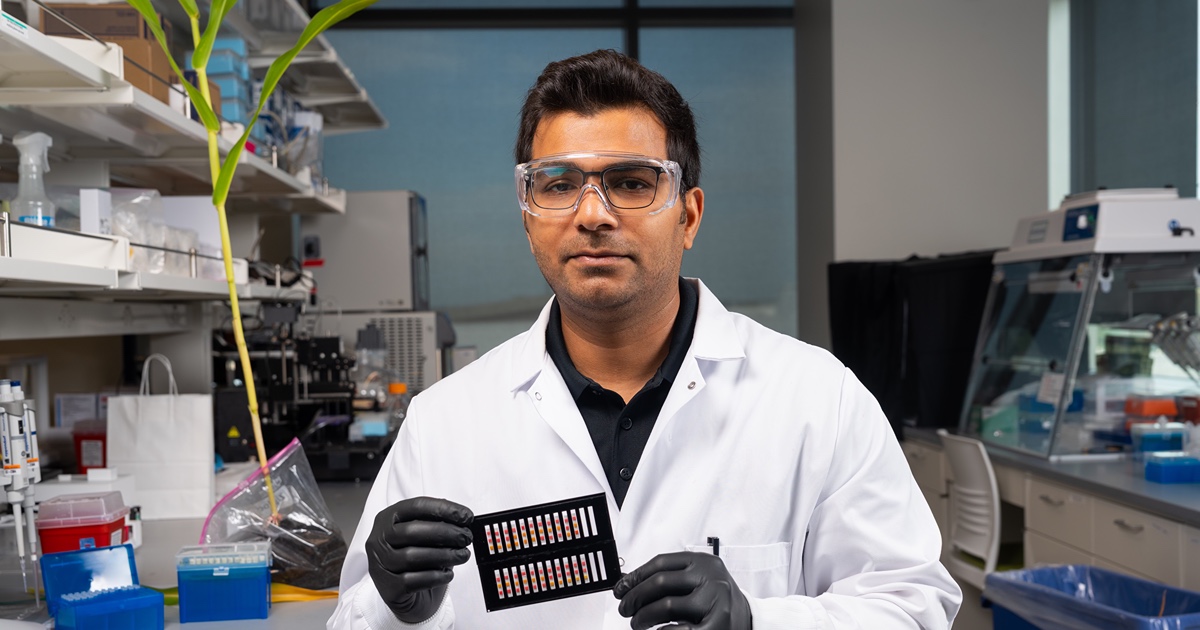  Purdue research scientist Bilal Ahmed examines a microfluidic paper-based biosensor cartridge under light to display the visible results of an assay for genetically modified crop traits.