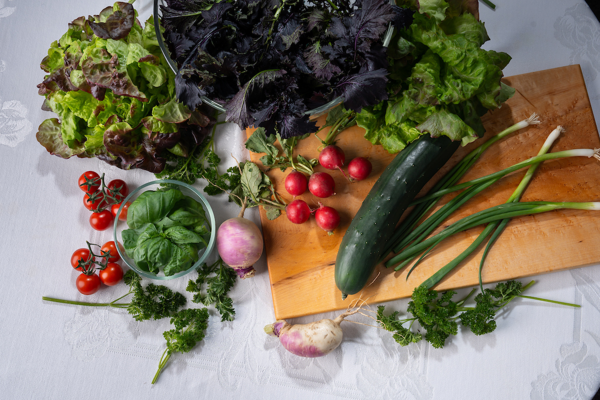 Lettuce, tomatoes, radishes, green onions and spinach on a cutting board.