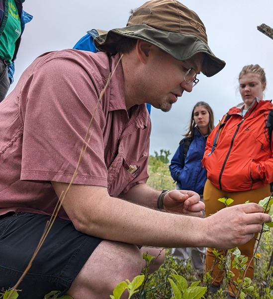 Roland Wilhelm squats down and looks at a plant