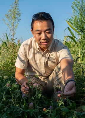 Yichao rui looks at plants on the ground